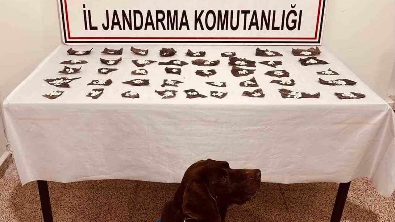 Van'da Kapsülde Bonzai Operasyonu: 460 Kapsülde 171 Gram Ele Geçirildi