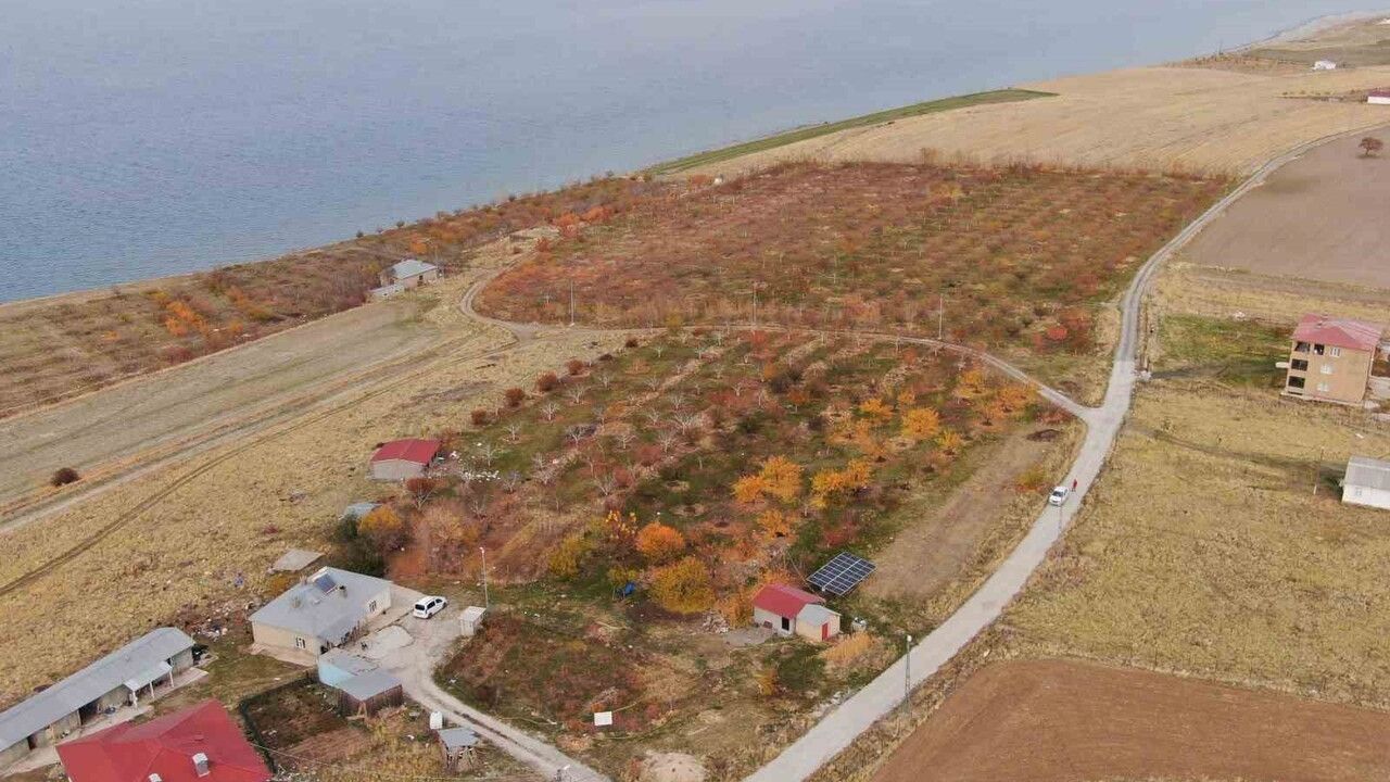 Van'da Sonbahar Kartpostalları: Van Gölü'nde Renk Şöleni