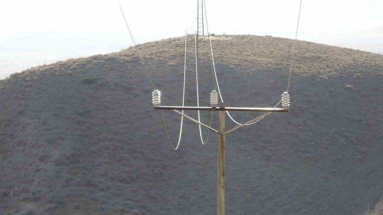 Van'da VEDAŞ Direği Devrildi: 10 Yaban Hayvanı Akıma Kapıldı