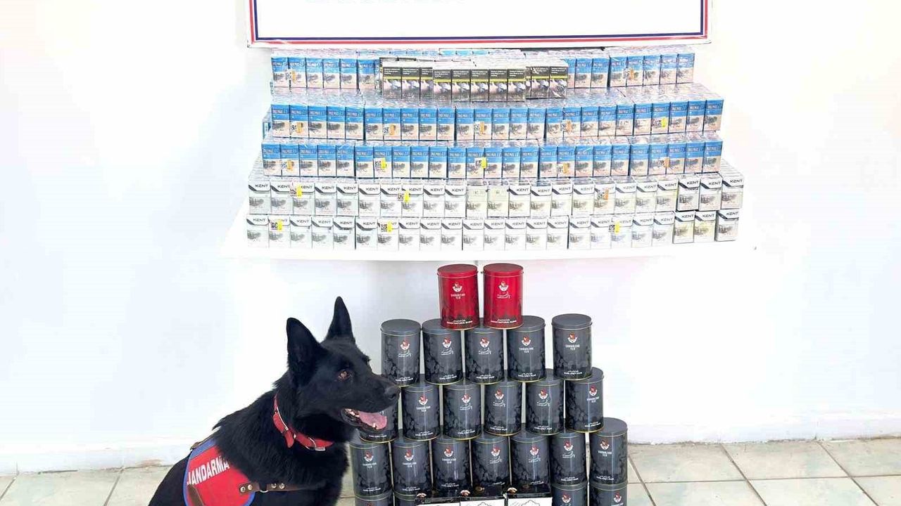 Van Erciş'te Jandarma 2 bin 590 Paket Kaçak Sigara ve 15 kg Çay Ele Geçirdi