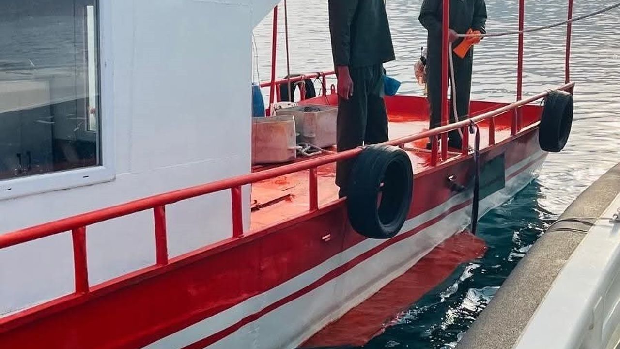 Van Gölü'nde Balıkçılık Denetimi: Tatvan ekipleri mevzuata uygunluk tespit etti