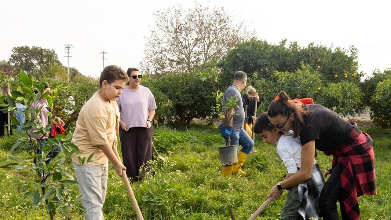 Yaşar Üniversitesi'nden LÖSEV'e Destek: Lösemili Çocuklar İçin Mandalina Hasadı ve Fidan Dikimi
