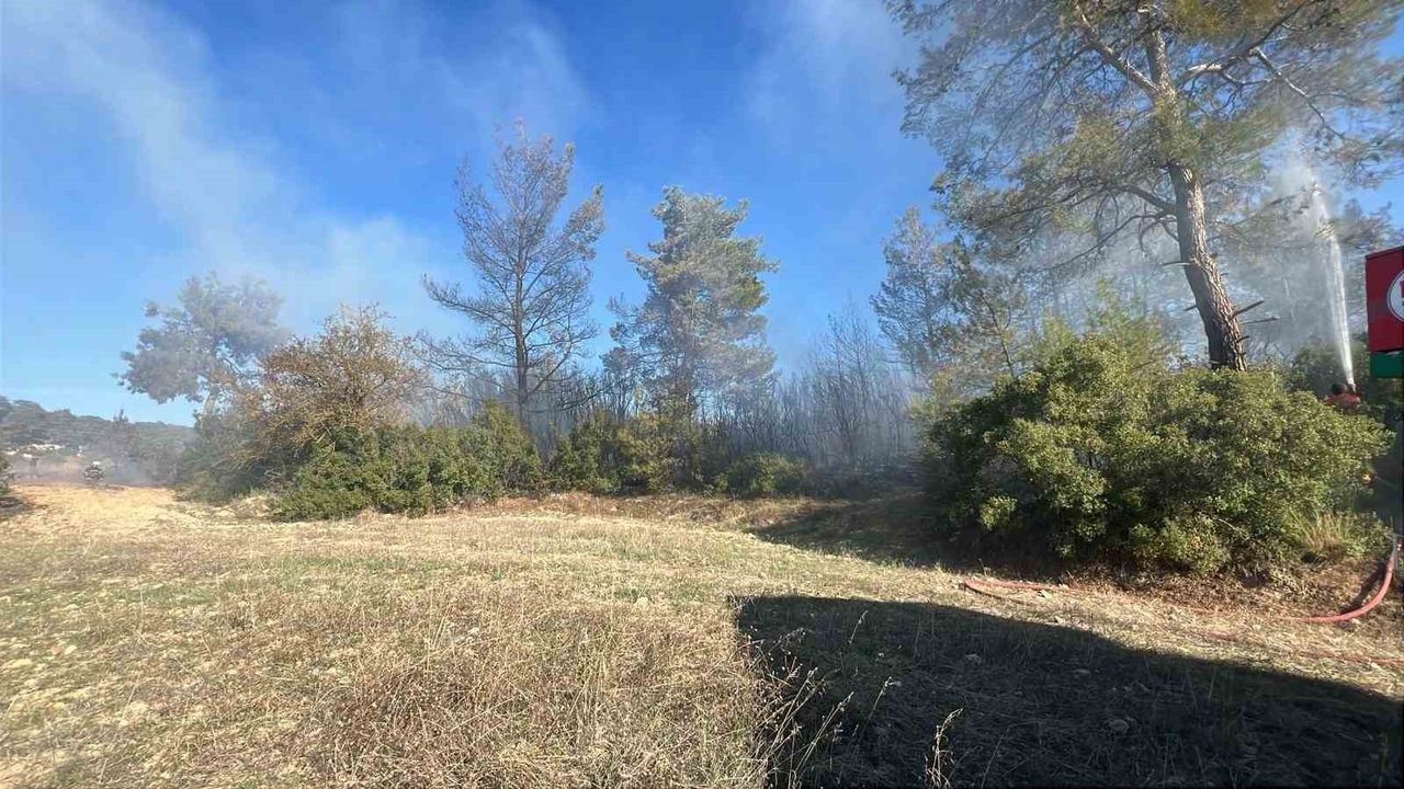 Yatağan'da İki Arazi Yangını Büyümeden Kontrol Altına Alındı