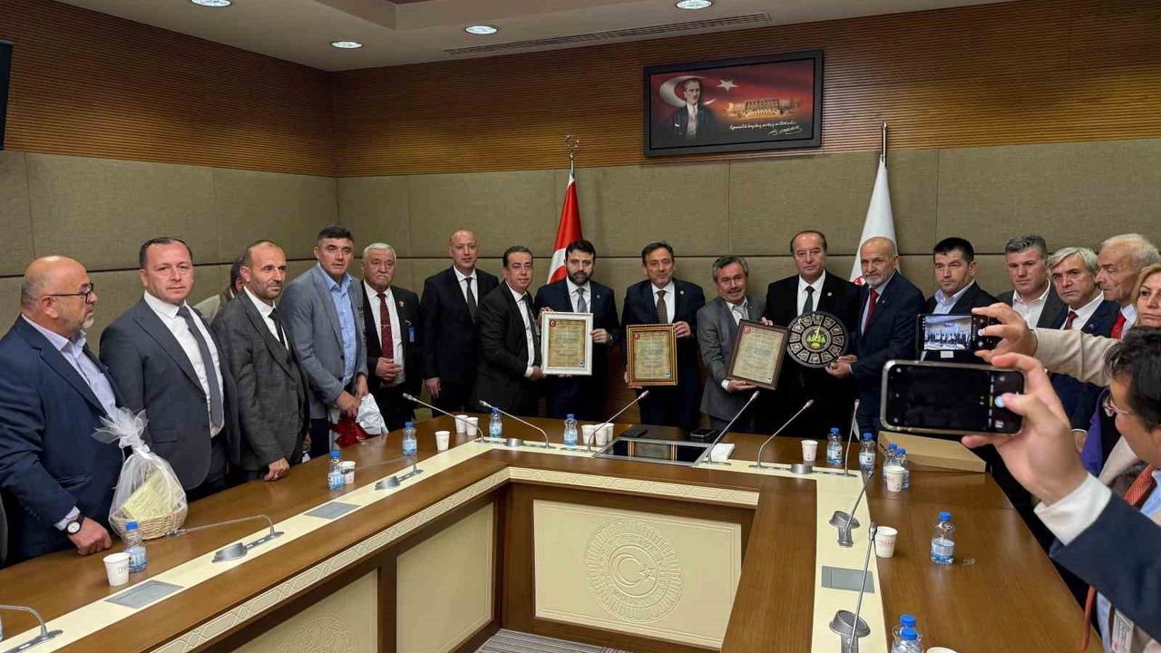 Yeniceliler TBMM'de Birlik ve Yatırım Talepleri