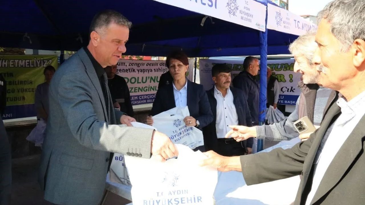 Yenipazar'da Ata Tohumundan Kışlık Sebze Fidelerine Yoğun İlgi