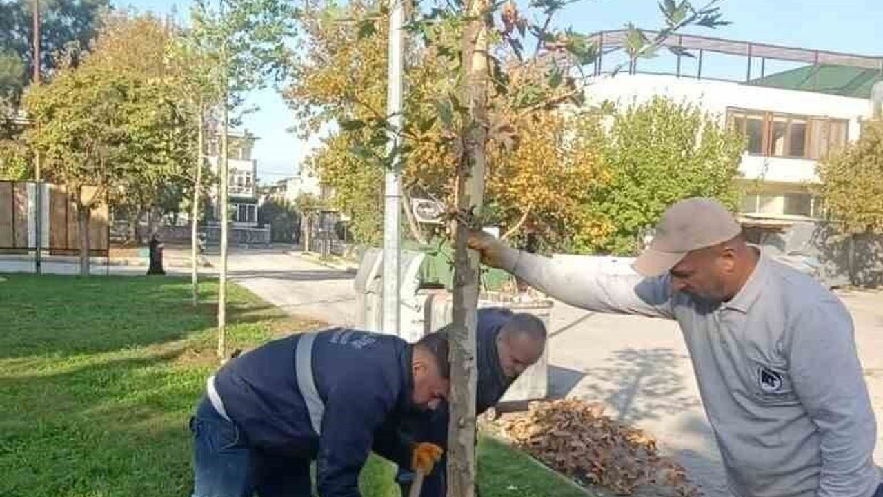 Yunusemre'de Ağaçlandırma Çalışmaları Devam Ediyor