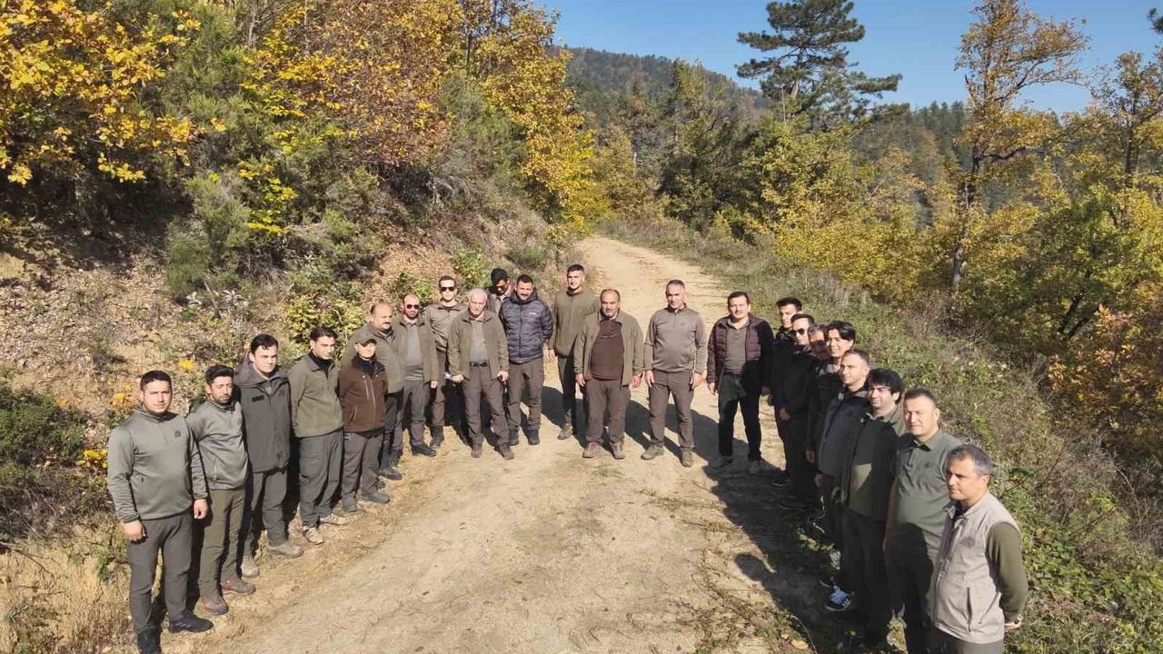 Zonguldak’ta Yaban Hayatı Envanteri 'Sürek-Bek' Metoduyla Tamamlandı