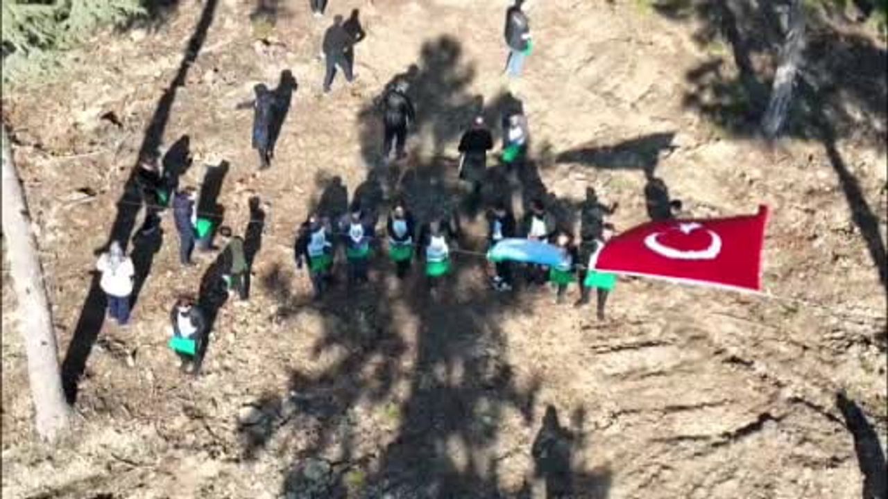 Adana’da 50 Ton Sedir Tohumu Doğal Gençleştirme İçin Toprakla Buluştu