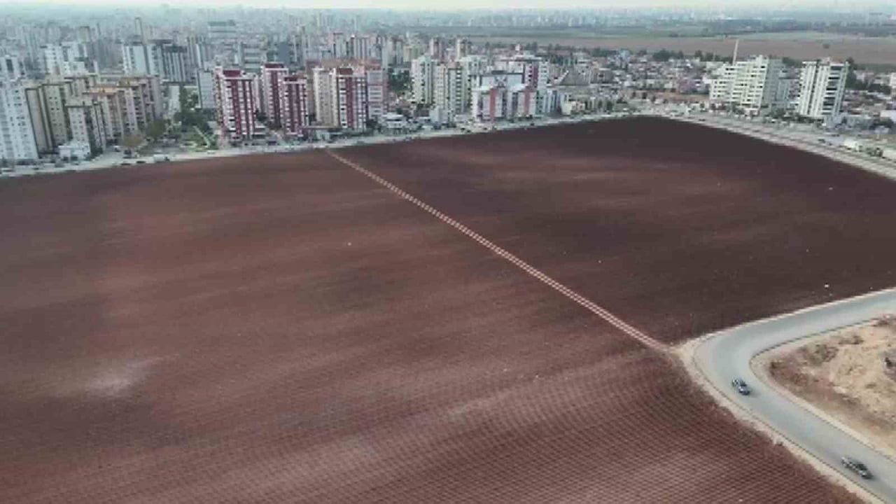 Adana’da Apartmanlar Arasında Tarla Satılmadı: Patatesle Üretim Sürüyor