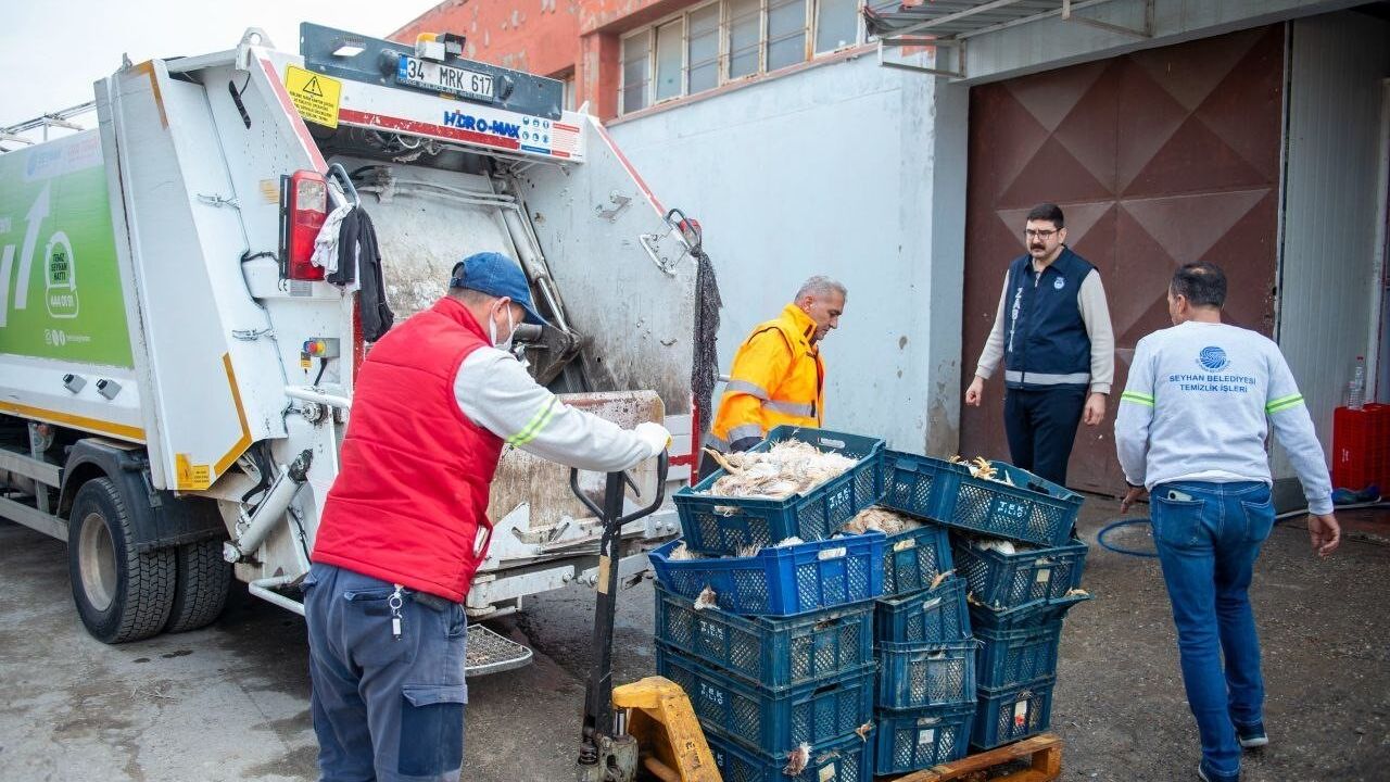 Adana'da Depoda Koku Skandalı: 25 Kasa Tavuk İmha Edildi