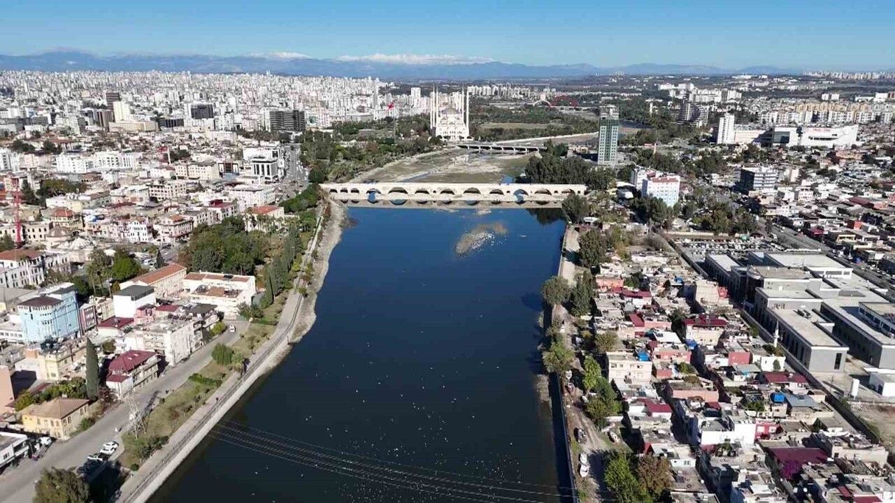 Adana'da Kuraklık Seyhan Nehri'nde Balık Ölümlerine Yol Açtı
