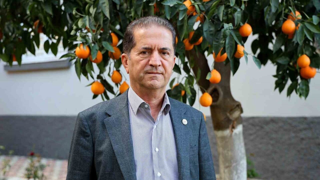 Adana'da mandalina fiyatları düştü: Dalında 3 TL, pazarda 5 TL