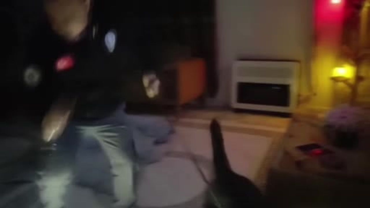 Adana'da Torbacı Operasyonu: 156 bin 418 Hap, 5 Tutuklama