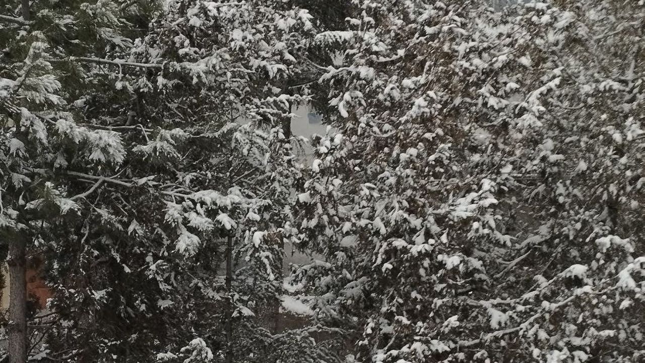 Adana'nın Tufanbeyli İlçesi Karla Kaplandı