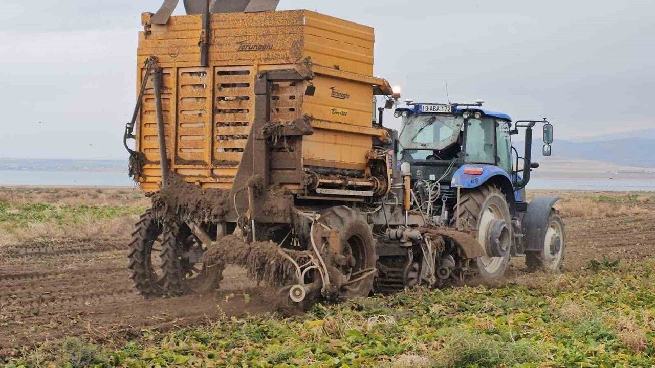 Adilcevaz'da Şeker Pancarı Sökümü Hızla İlerliyor
