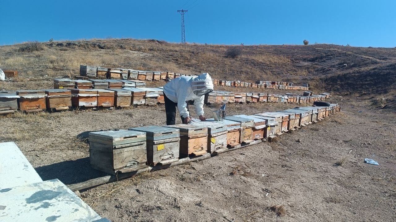 Adıyaman Balında Sahte Bal Uyarısı: 650 Ton Üretim ve Yüksek Prolin