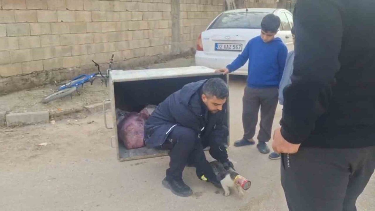 Adıyaman'da Konserve Kutusuna Sıkışan Kedi İtfaiye Tarafından Kurtarıldı