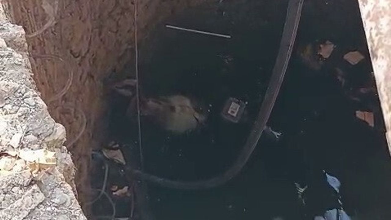 Adıyaman'da Su Kuyusuna Düşen Keçi İtfaiye Ekiplerince Kurtarıldı