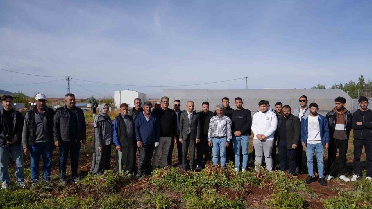 Adıyaman'da Yer Fıstığı Hamlesi: ADYÜTAYAM'da Hasa…