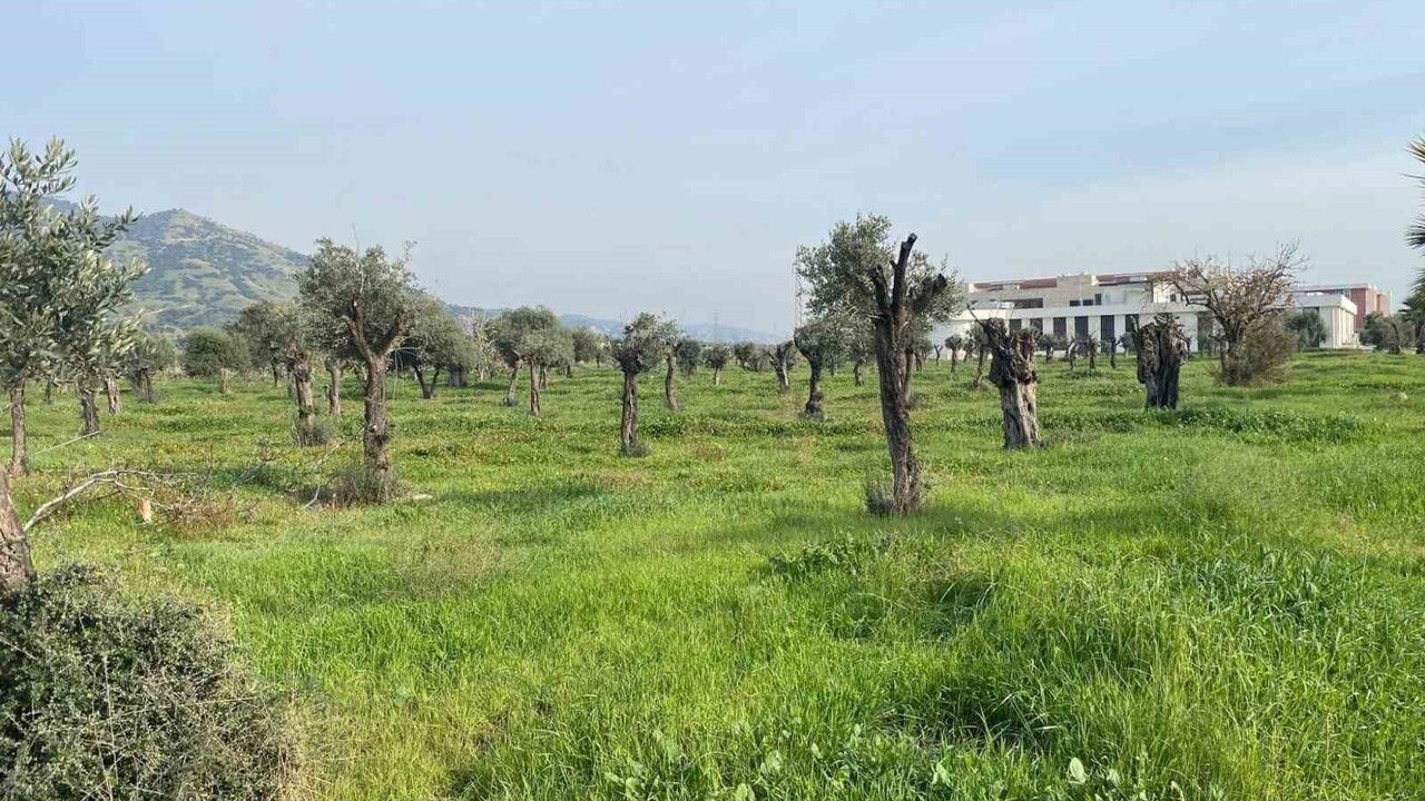 ADÜ'de Yeni Otopark Çalışmaları Başladı