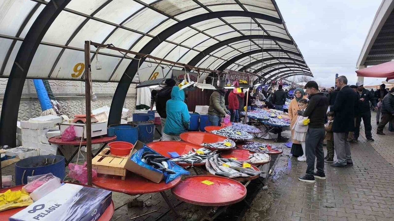 Afyonkarahisar'da Hamsi Bereketi: Şuhut'ta Balık Tezgahları Hareketlendi