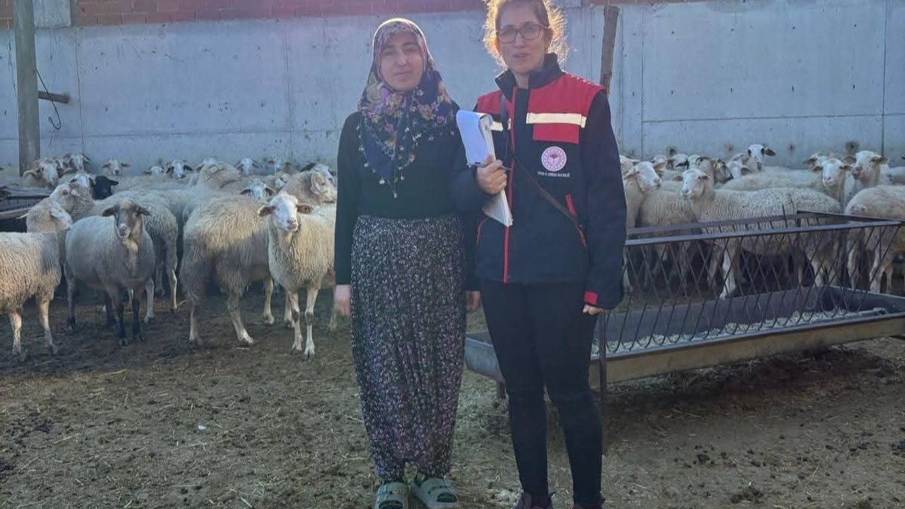 Afyonkarahisar'da 'Kırsal Kalkınmada Uzman Eller' Hibe Desteği Alan Besicilere Denetim