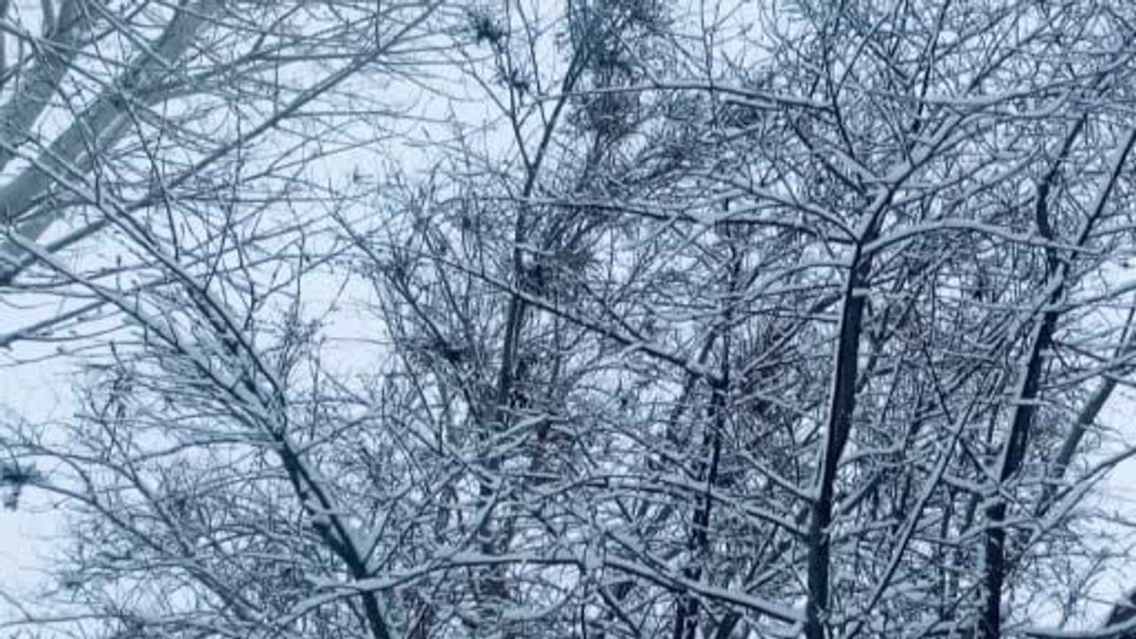 Ağrı Beyaza Büründü: Kent ve İlçelerde Yoğun Kar