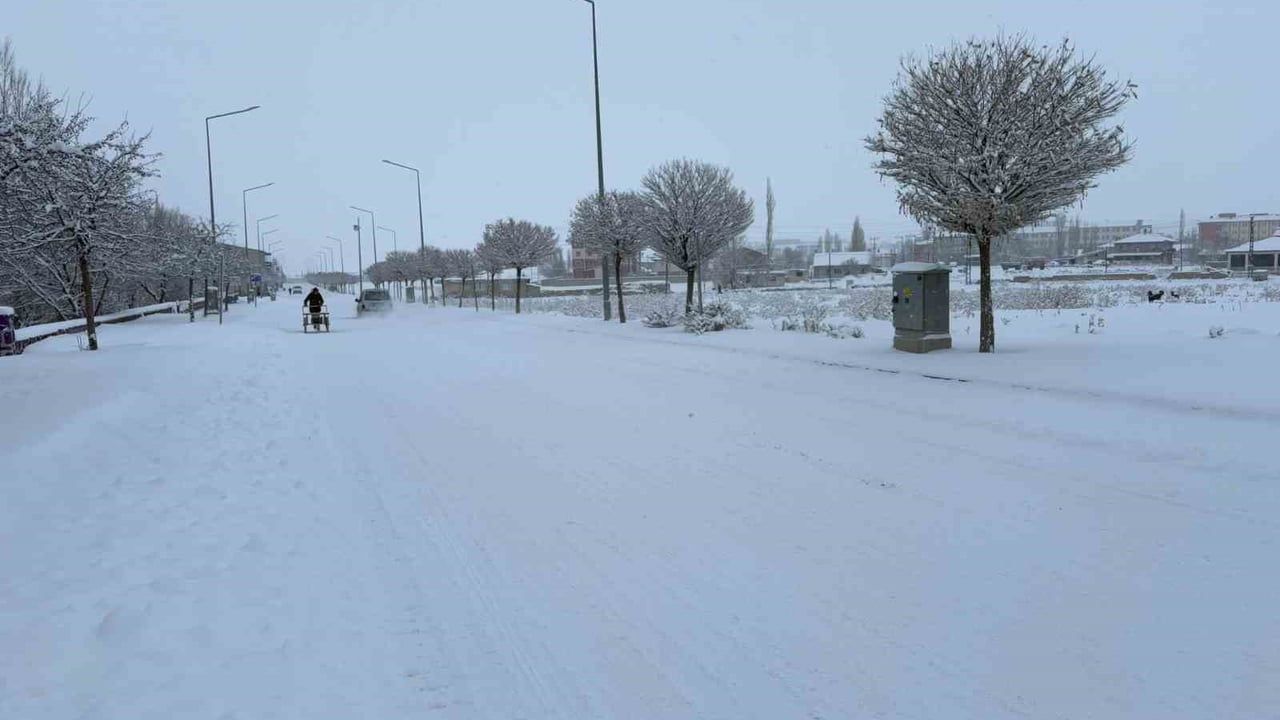Ağrı Diyadin'de Yoğun Kar Yağışı Trafik ve Esnafı Zorladı