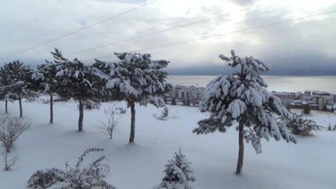 Ahlat’ta Kar Yağışı: 20 Köy Yolu Ulaşıma Kapandı