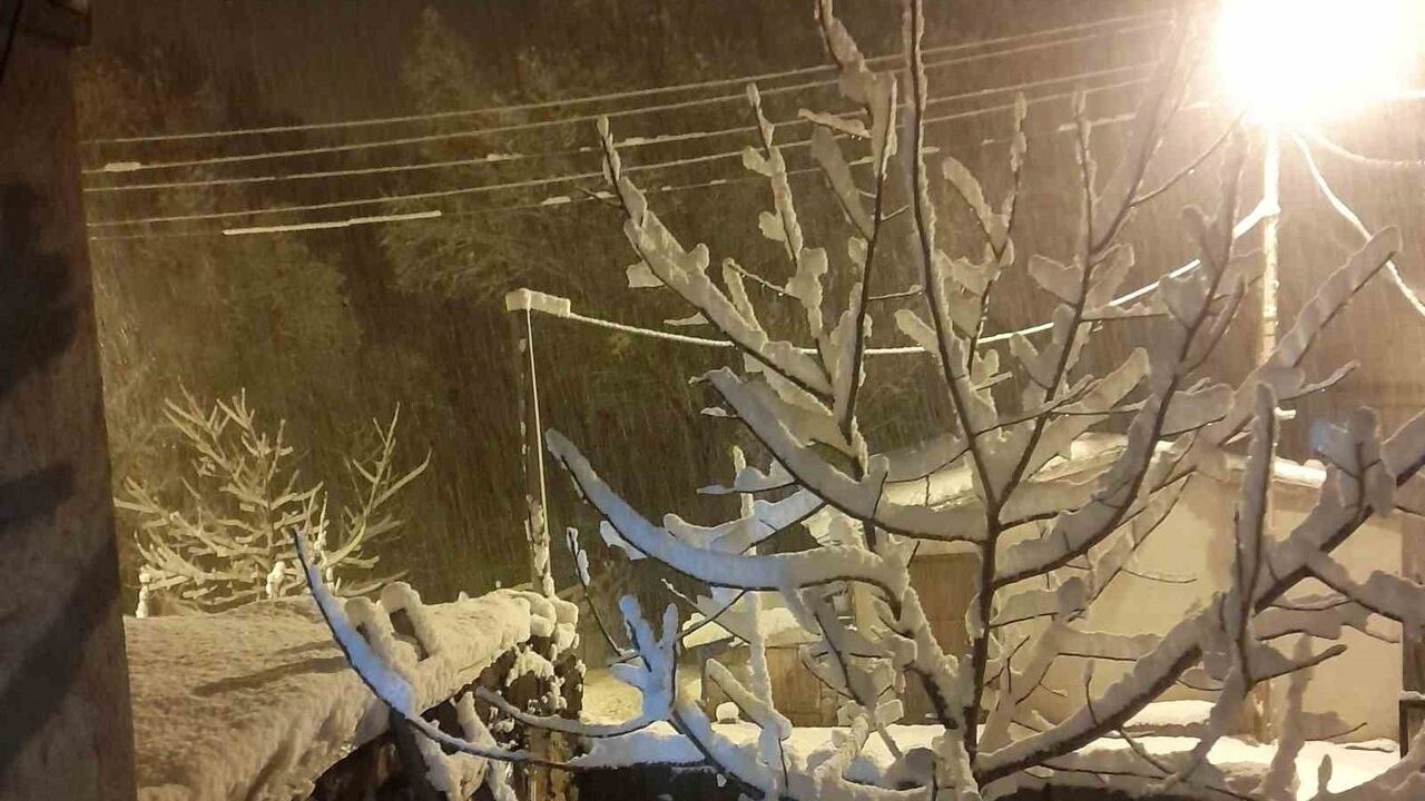 Ahlat’ta Yoğun Kar Yağışı: Cemalettin Köyü'nde 20 santimetre