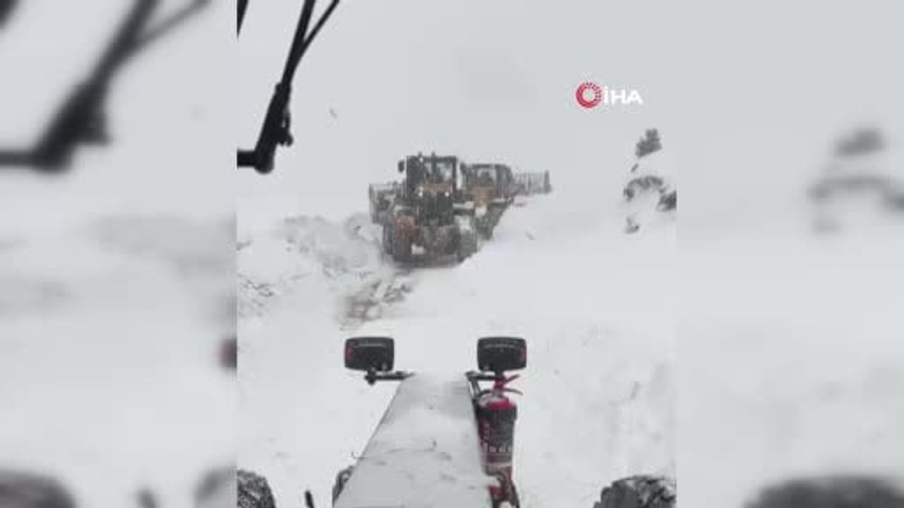 Aksu Yaylası'nda Çığ: Artvin Ardanuç'ta Arama Başlatıldı