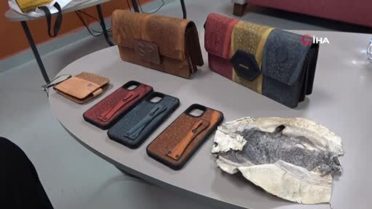Alanya'da Balon Balığı Derisi Aksesuarları Mahkemelik Oldu
