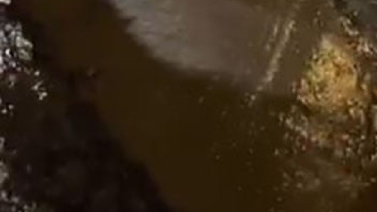 Alanya'da DSİ Boru Patladı: Park Halindeki Otomobil Portakal Bahçesine Sürüklendi