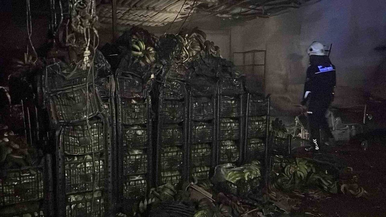 Alanya'da Muz Sarartma Tesisinde Yangın: Tonlarca Muz Zarar Gördü