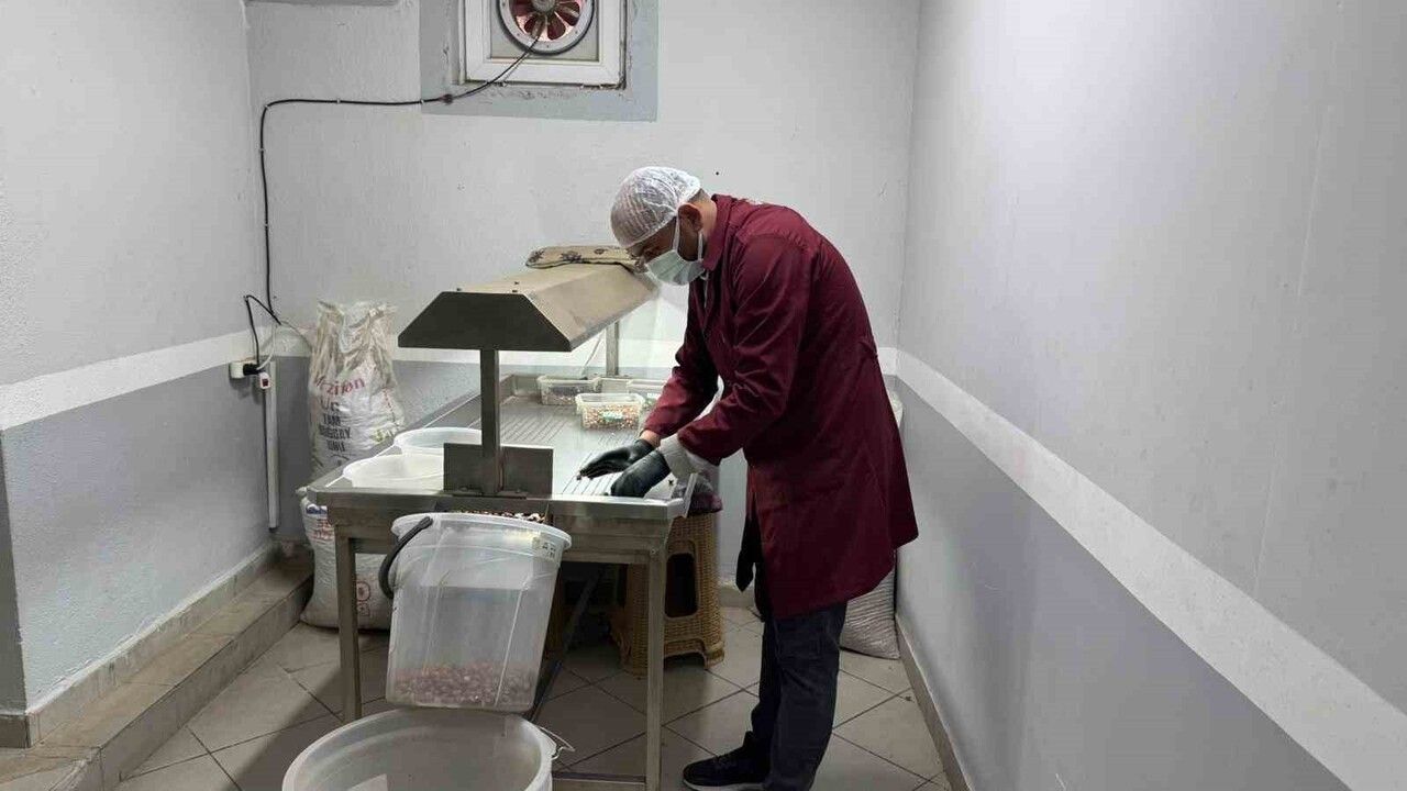 Alaplı'da fındık kavurma tesisleri taleplere yetişemiyor