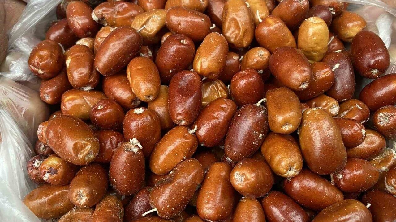 Alaşehir'de İğde Ağaçları Hızla Azalıyor: Kilosu 200 TL