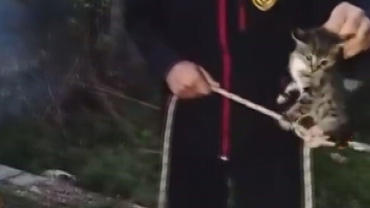 Antakya'da Su Kuyusuna Düşen Yavru Kedi İtfaiye Tarafından Kurtarıldı