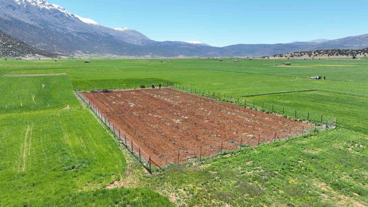 Antalya Büyükşehir’den 26 Sulama Tesisi ile 42 bin 900 Dekar Sulandı