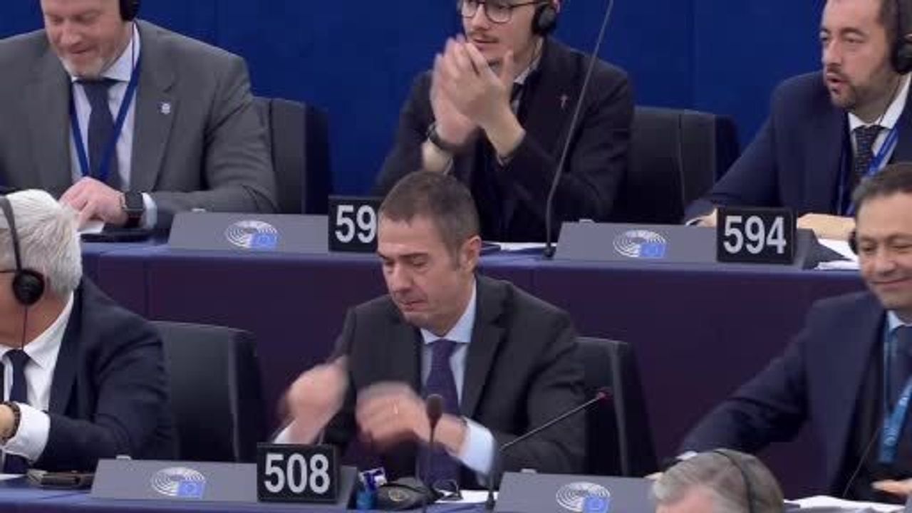 AP, Rus gazı ithalatını 2027'ye kadar yasaklama planını onayladı