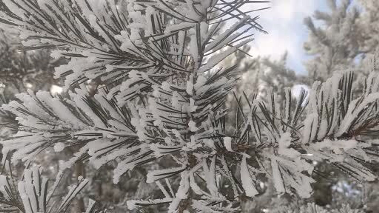 Ardahan Göle'de Eksi 16: Ağaçlar Kırağıyla Kaplandı