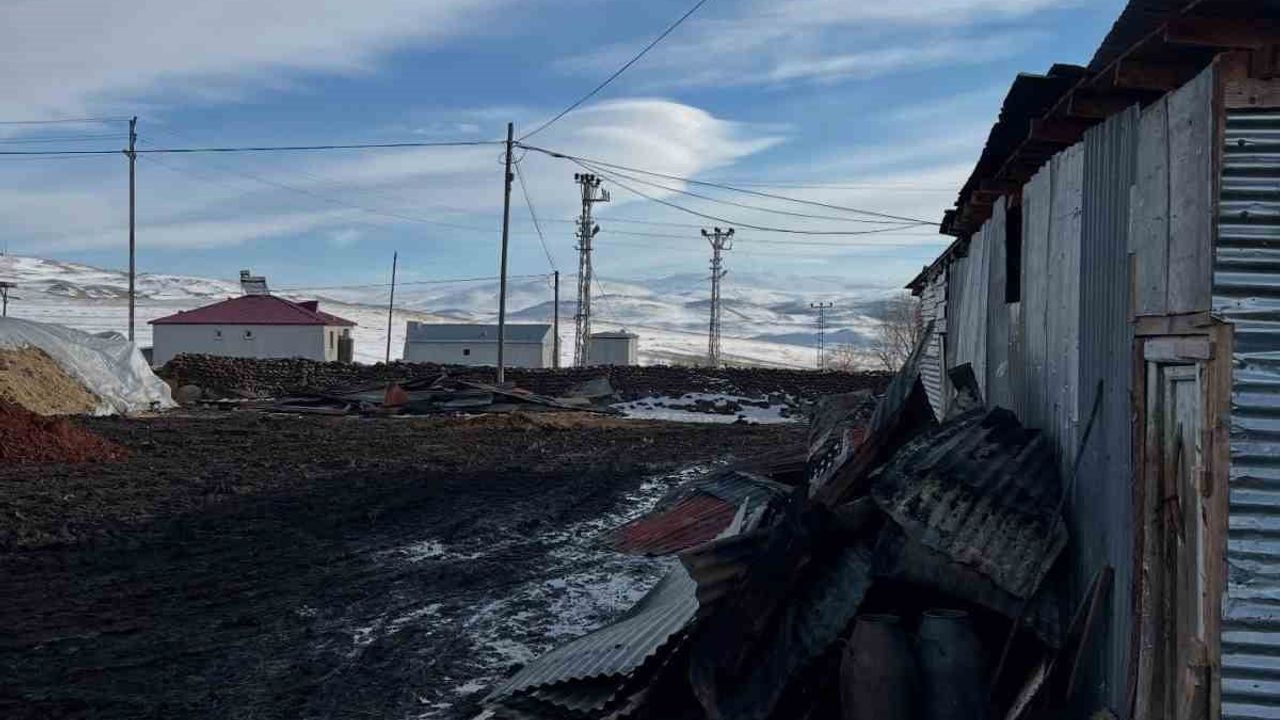 Ardahan Hanak'ta Ambarda Yangın: 1 Traktör, 2 Bin Balyа ve 10 Ton Tahıl Yandı
