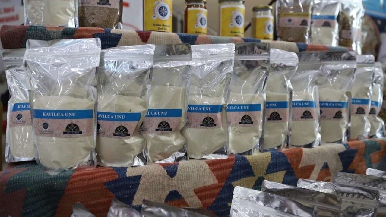 Ardahan Kavılcası: Ardahan Üniversitesi'nde 'Buğdayın Atası' Etkinliği