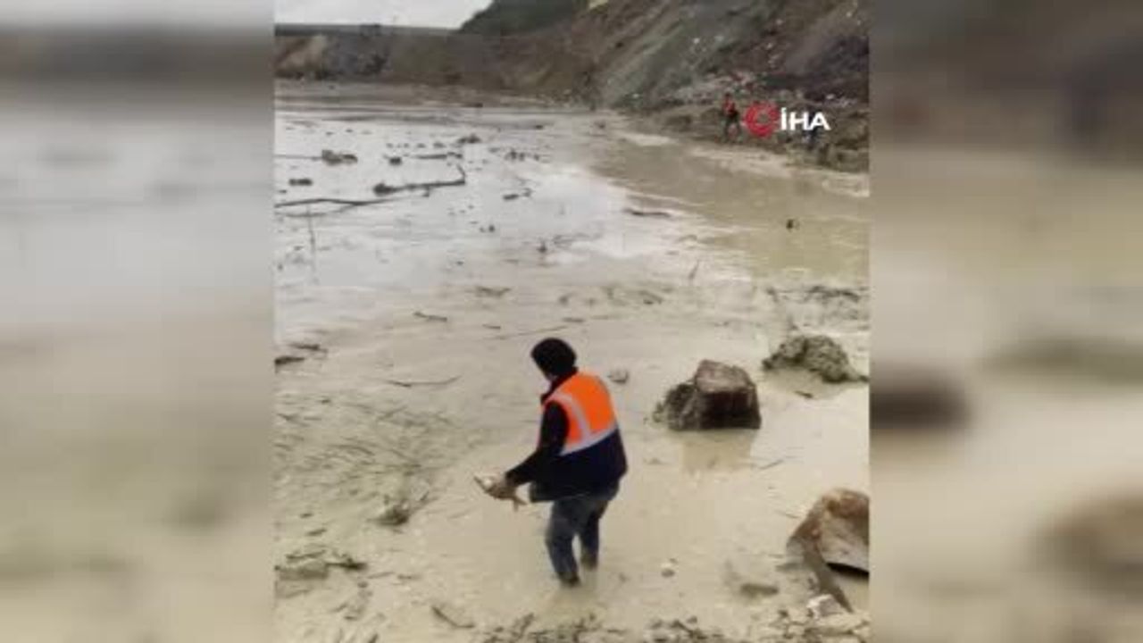 Arnavutköy'de Bolluca Mavi Göl Neredeyse Kurudu: İBB'nin Dolgu Çalışması Balıkları Tehdit Ediyor