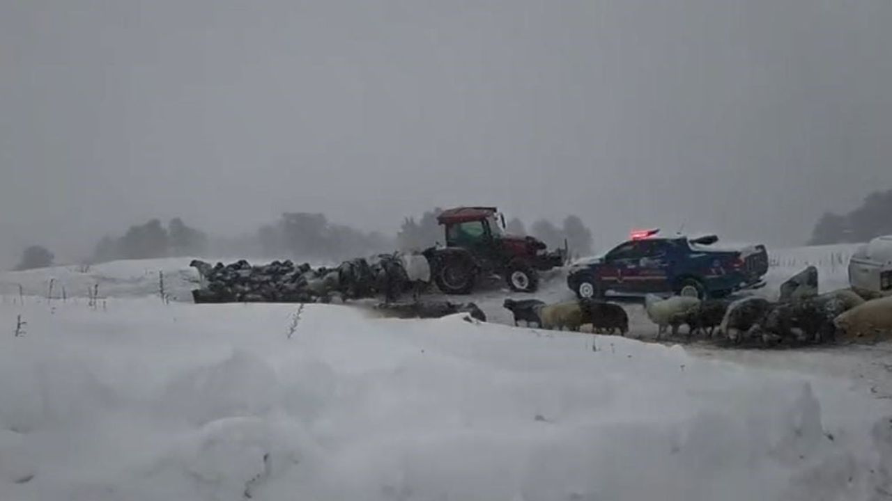 Artvin Ardanuç’ta Çığ: 3 Çobandan Birinin Cansız Bedenine Ulaşıldı