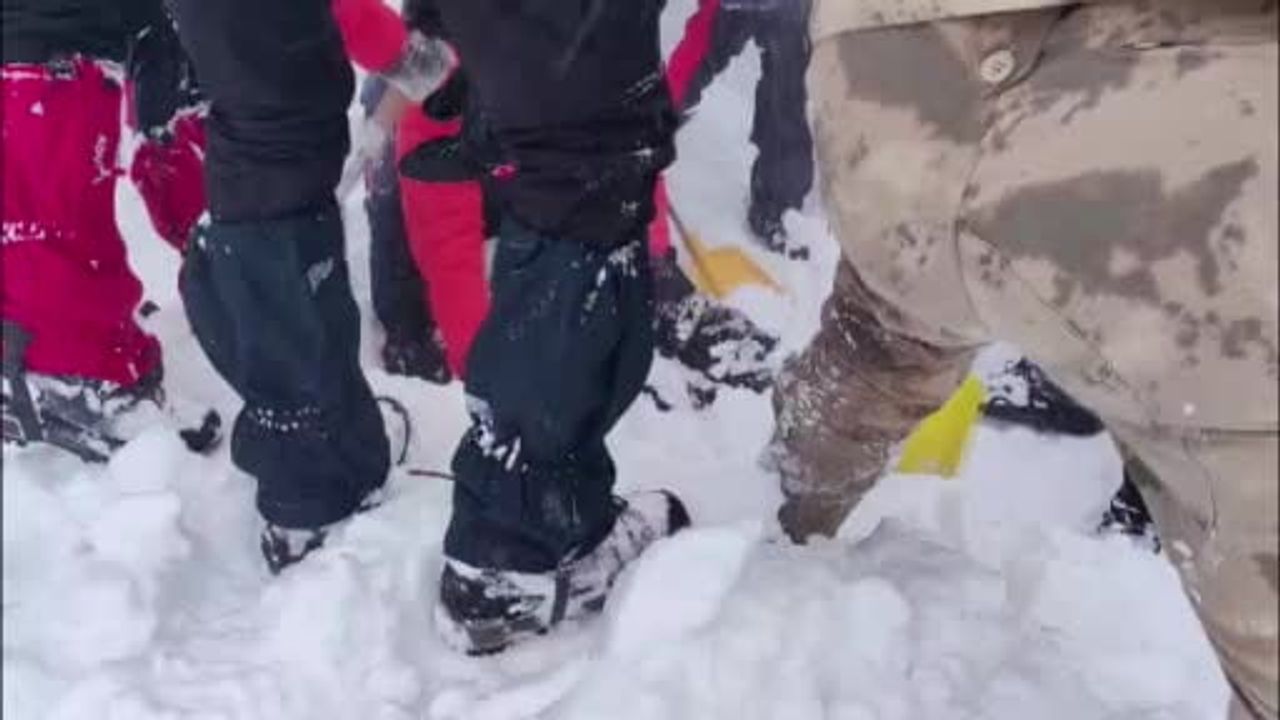 Artvin Ardanuç'ta Çığ: 3 Çobardan Biri Cansız Bulundu