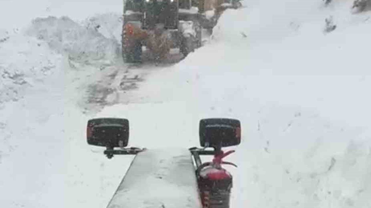 Artvin'de Aksu Yaylası'nda çığ: Vali Turan Ergün "3 çoban çığ altında"