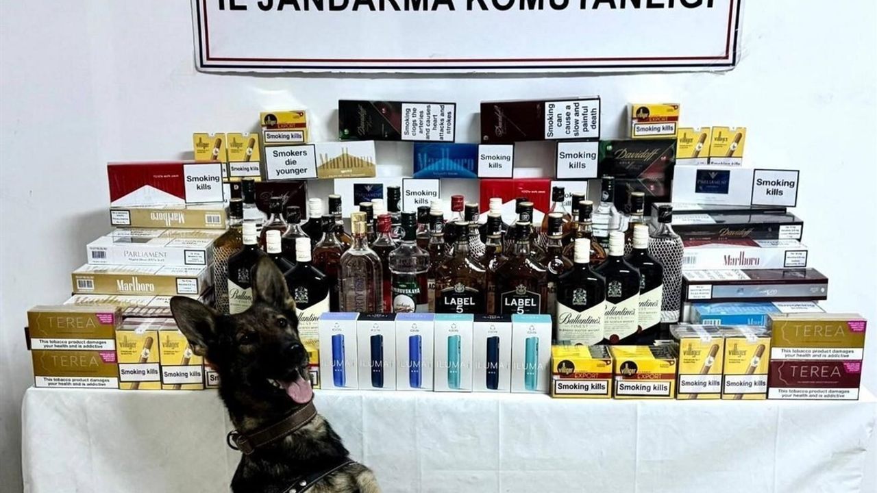 Artvin'de Jandarmadan Kaçakçılığa Darbe: 1 Milyon TL'lik Kaçak Ürün Ele Geçirildi