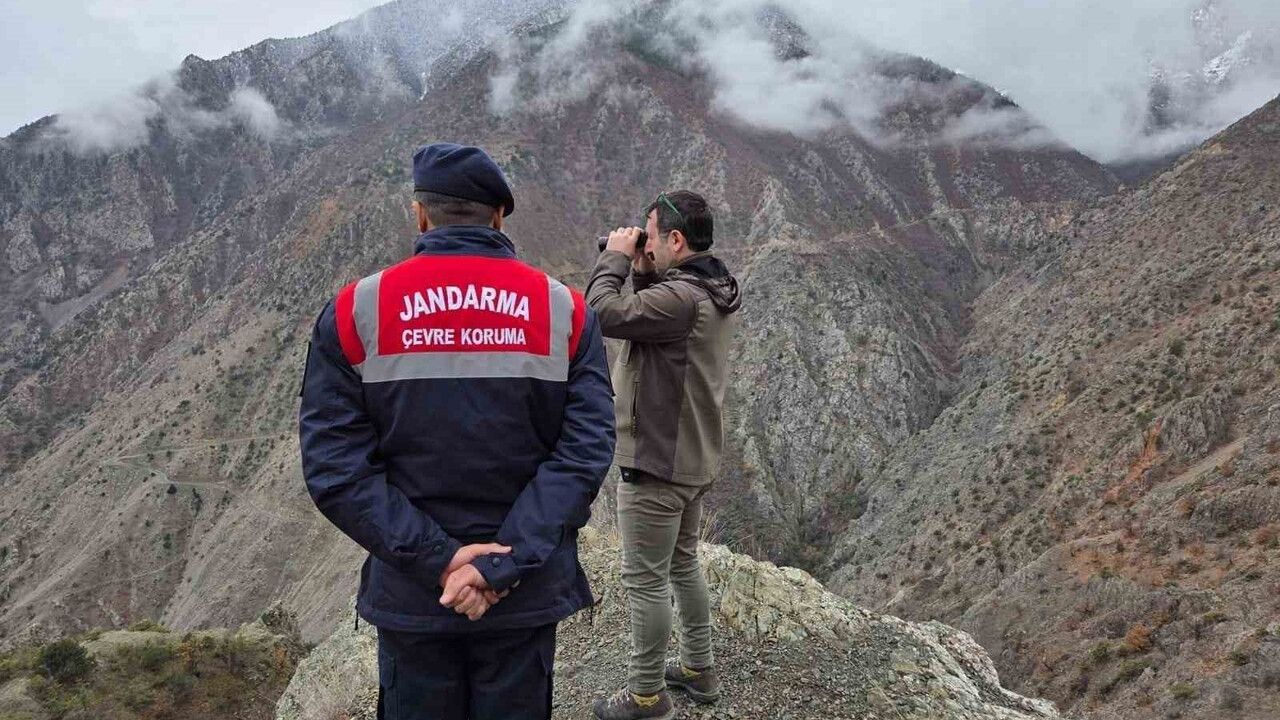 Artvin'de Kaçak ve Usulsüz Avcılık Denetimleri Sürüyor