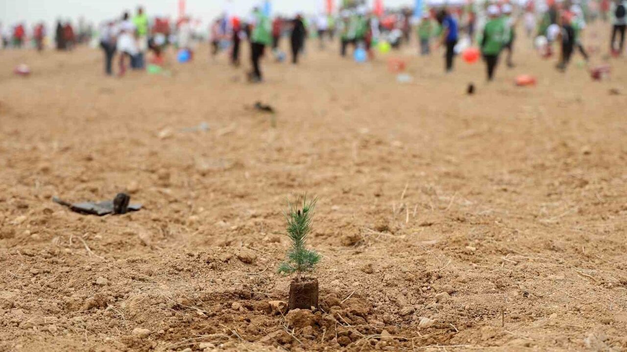 ATÜ'de Yeşil Kampüs Hedefi: 22 bin 500 Fidan