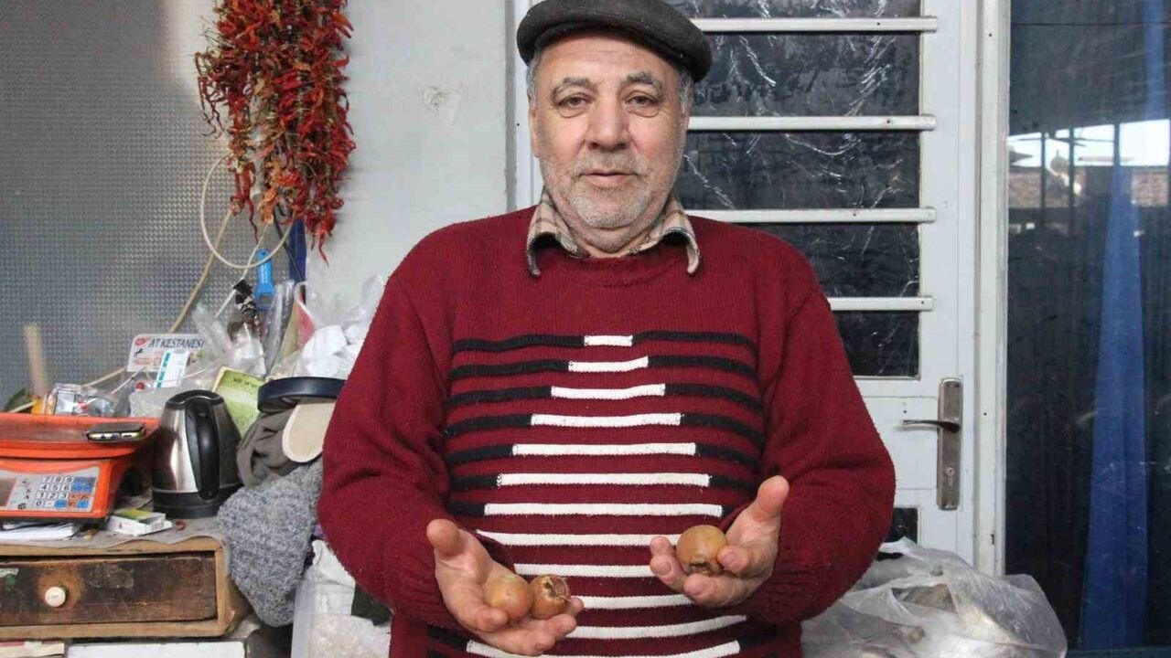 Aydın Bozdoğan'da Muşmula 'Doğal Çikolata' İlgi Görüyor